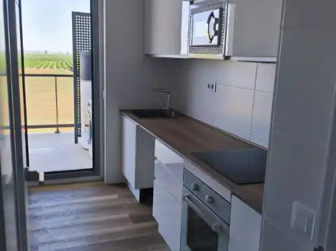 Kitchen of Flat for rent in San José de la Rinconada