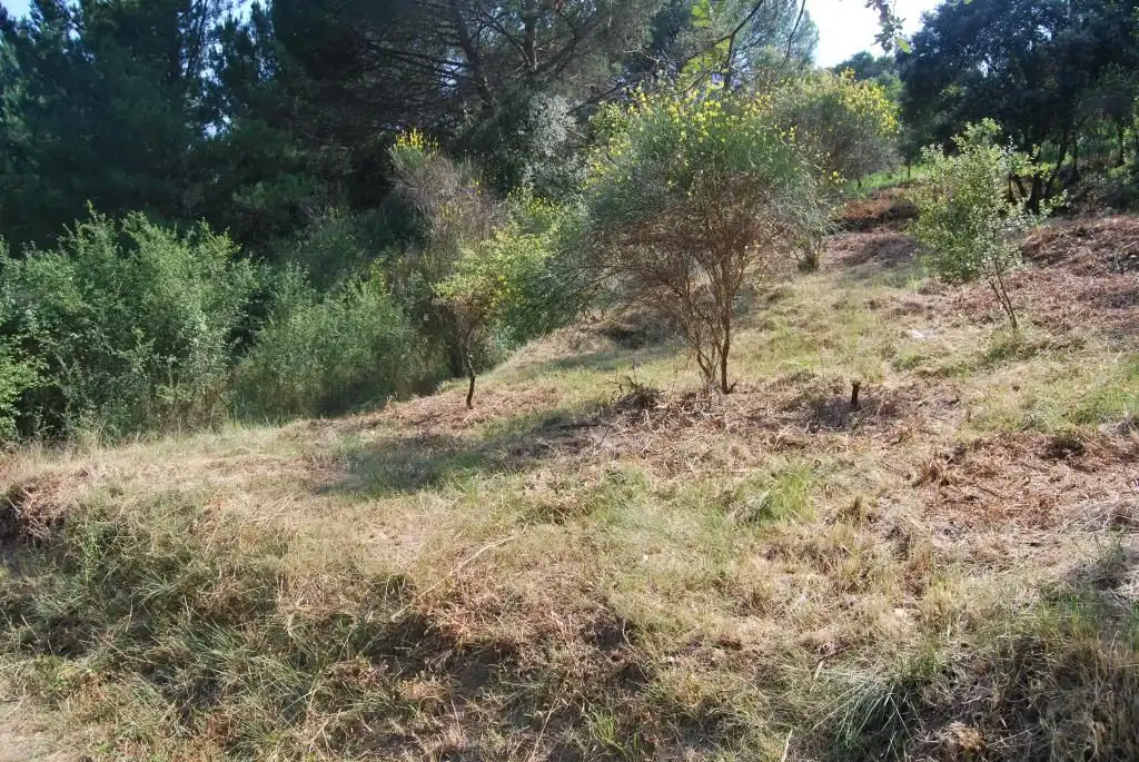 Terreny rústic en venda a Sant Celoni, imagen 7
