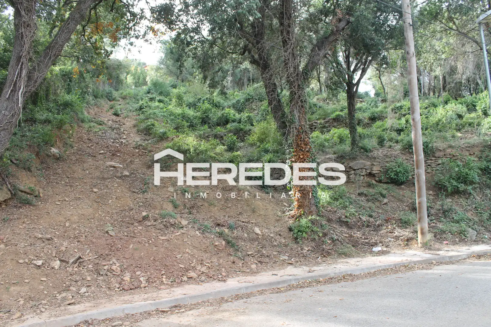 Terreno residencial en venta en Carrer dels Salzes 9, imagen 14