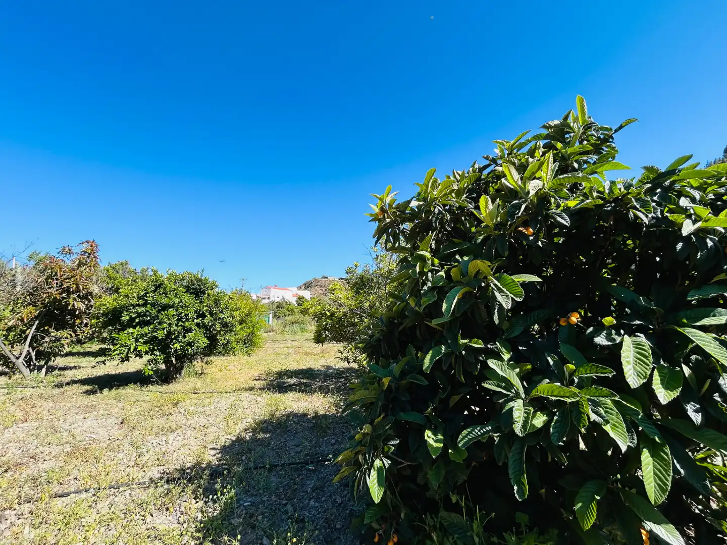 Casa adosada en venda en San Bartolomé de Tirajana amb Aire condicionat, Calefacció i Jardí privat