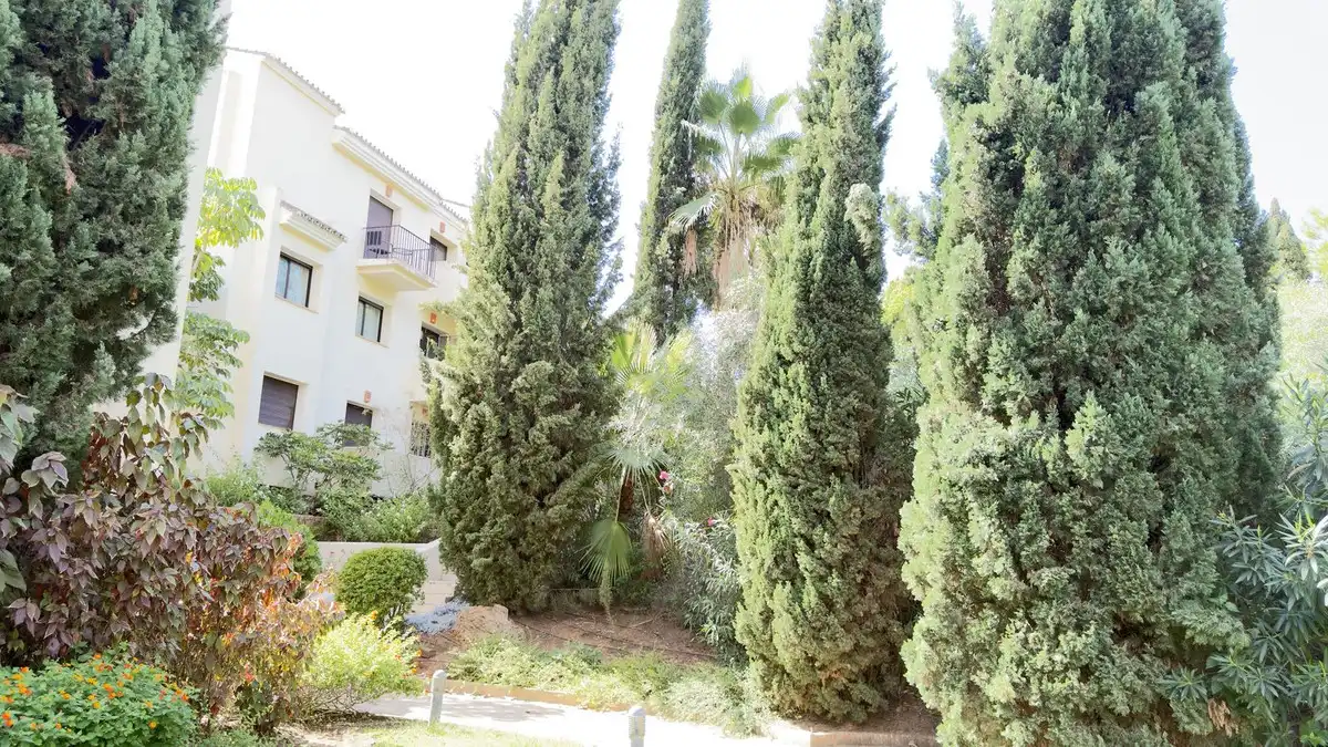 Ático con ascensor en venta en La Quinta, imagen 17