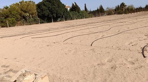 Foto 2 de Terreno en venta en La Marina, Alicante