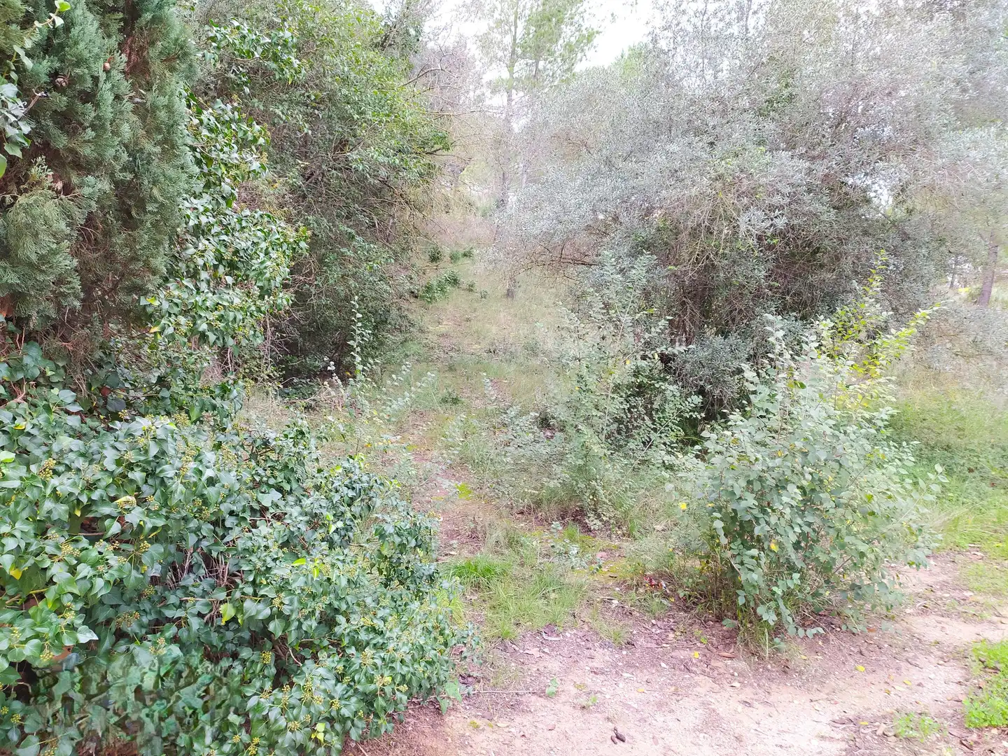 Residential land for sale in Ronda de la Pagesia, Sant Llorenç d'Hortons, Spain 67A, imagen 29