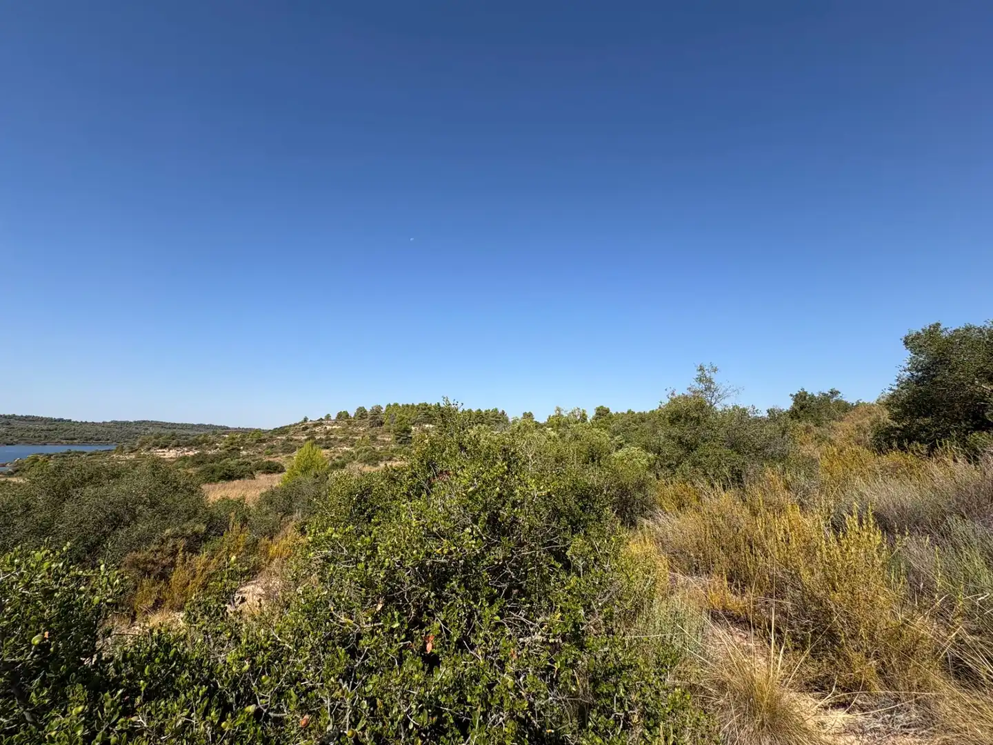 Terreno rustico in vendita a Cervià de Les Garrigues, imagen 39