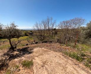 Land for sale in Viandar de la Vera