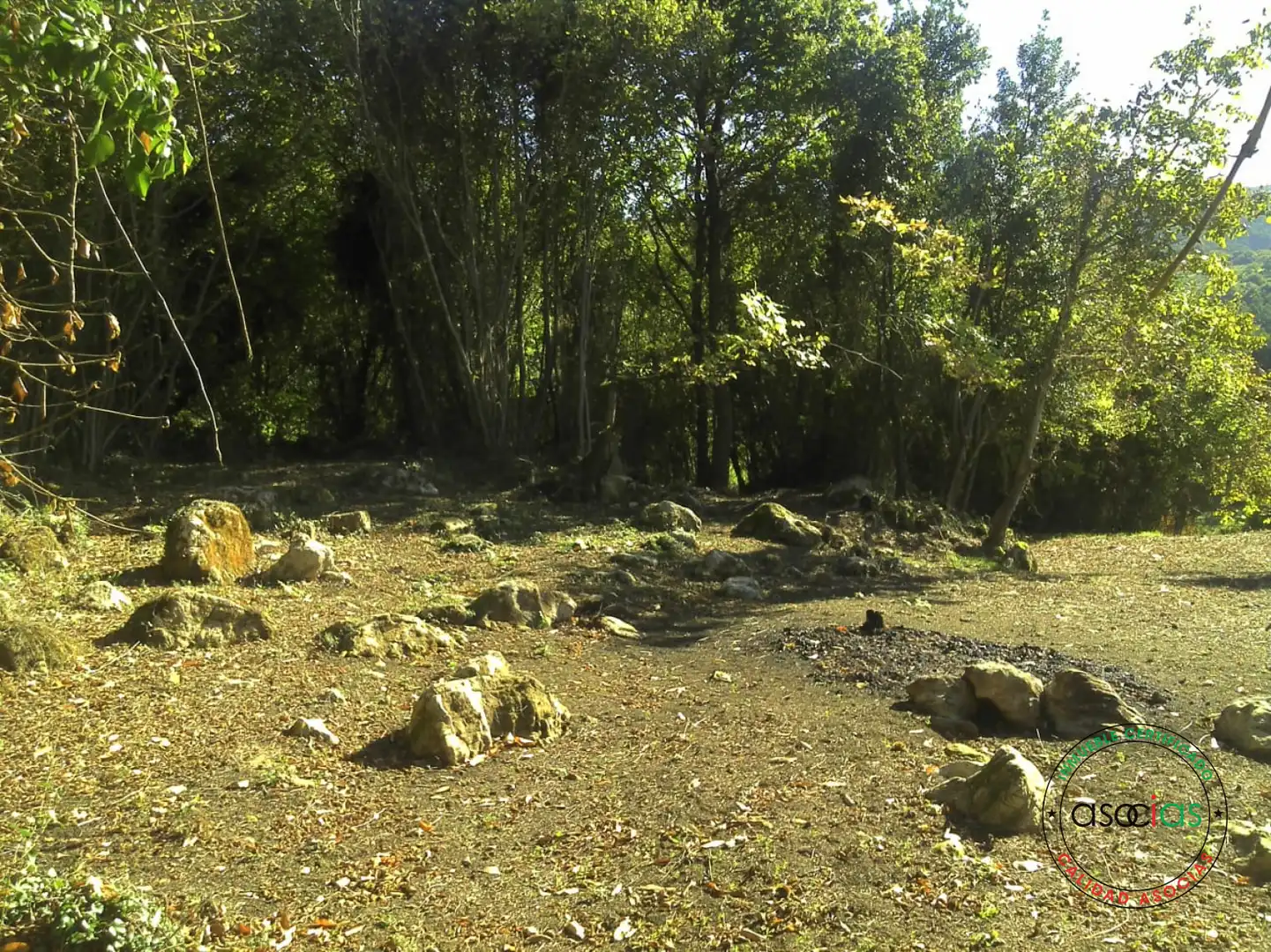 Terreno rustico in vendita a Gijón - BARRIO SAN PELAYO - CALDONES, imagen 3