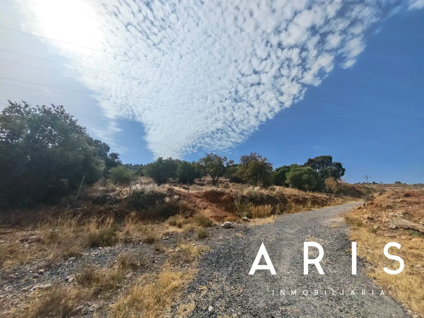 Terreno rustico in vendita a Platero - El Limón, imagen 13