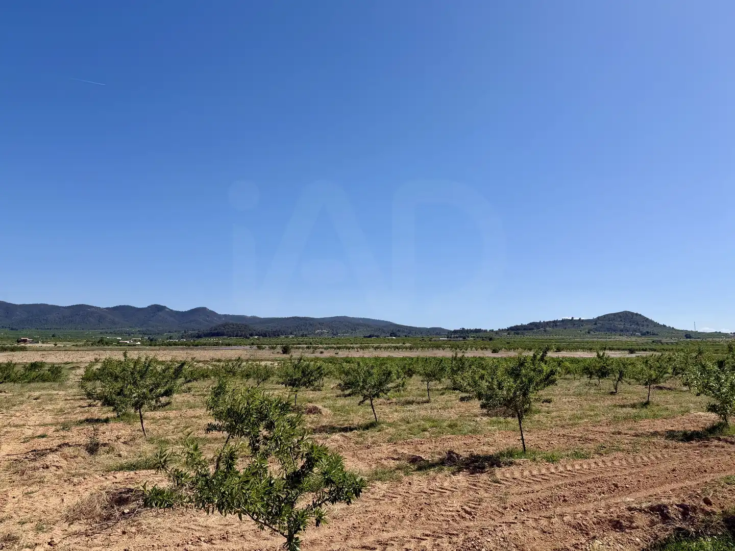 Grundstücke und Bauplätze zum Verkauf in Ricote, imagen 4
