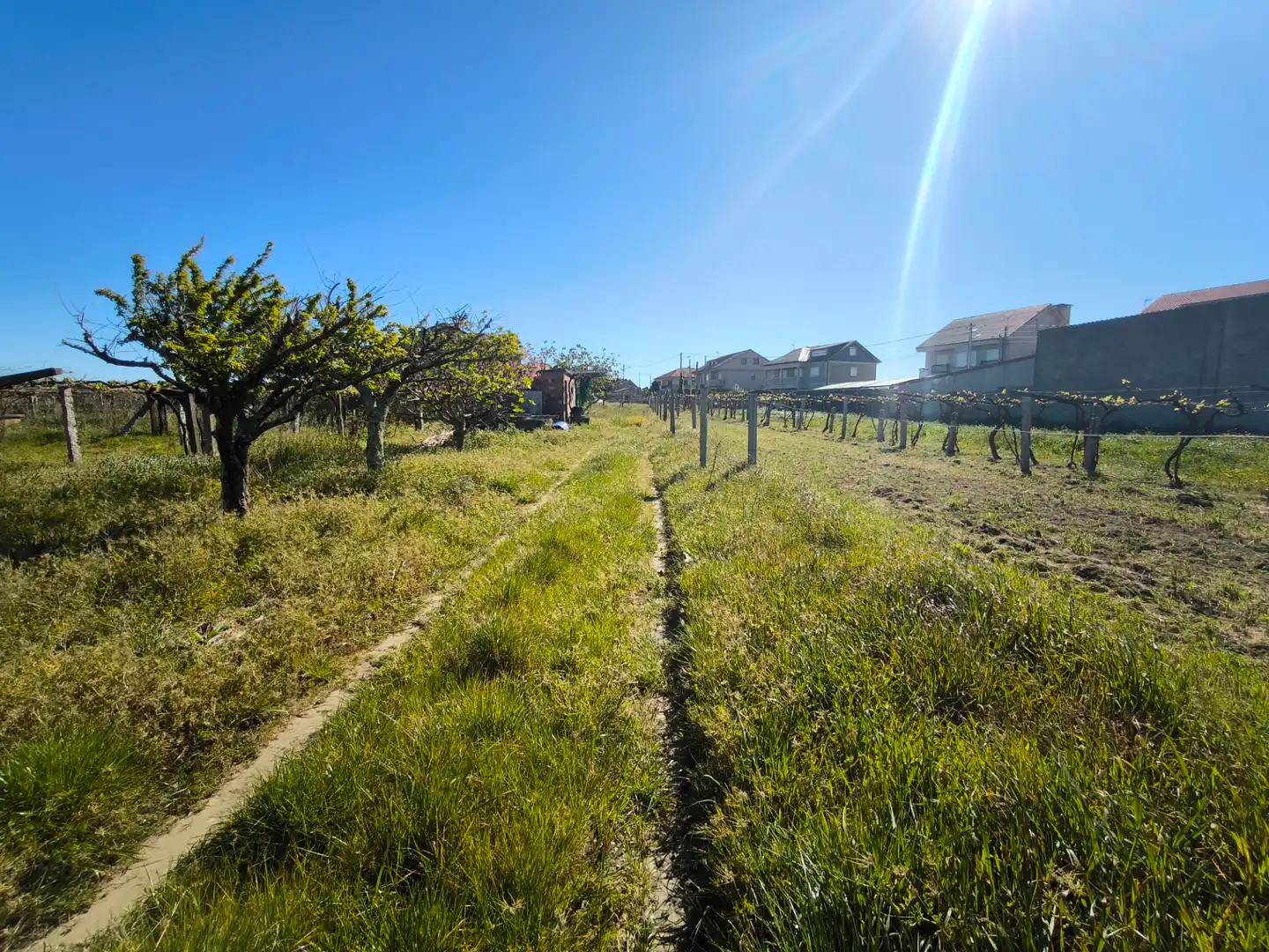 Residential for sale in Vilanova de Arousa