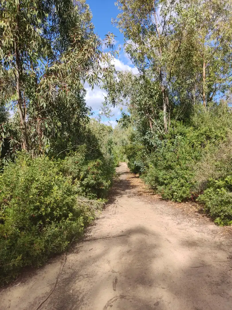 Terreni e lotti in vendita a Las Lagunas - Campano, imagen 23