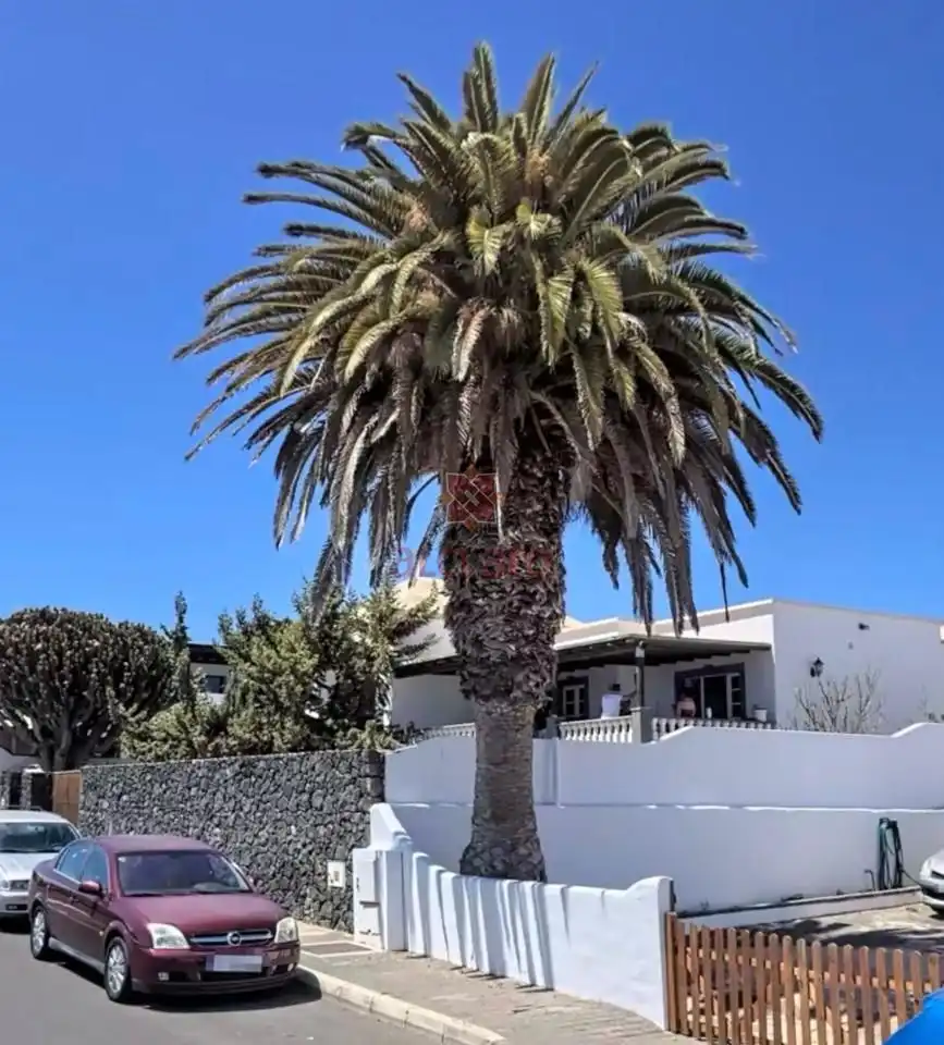 Vista exterior de Casa o chalet en venta en Teguise con Terraza
