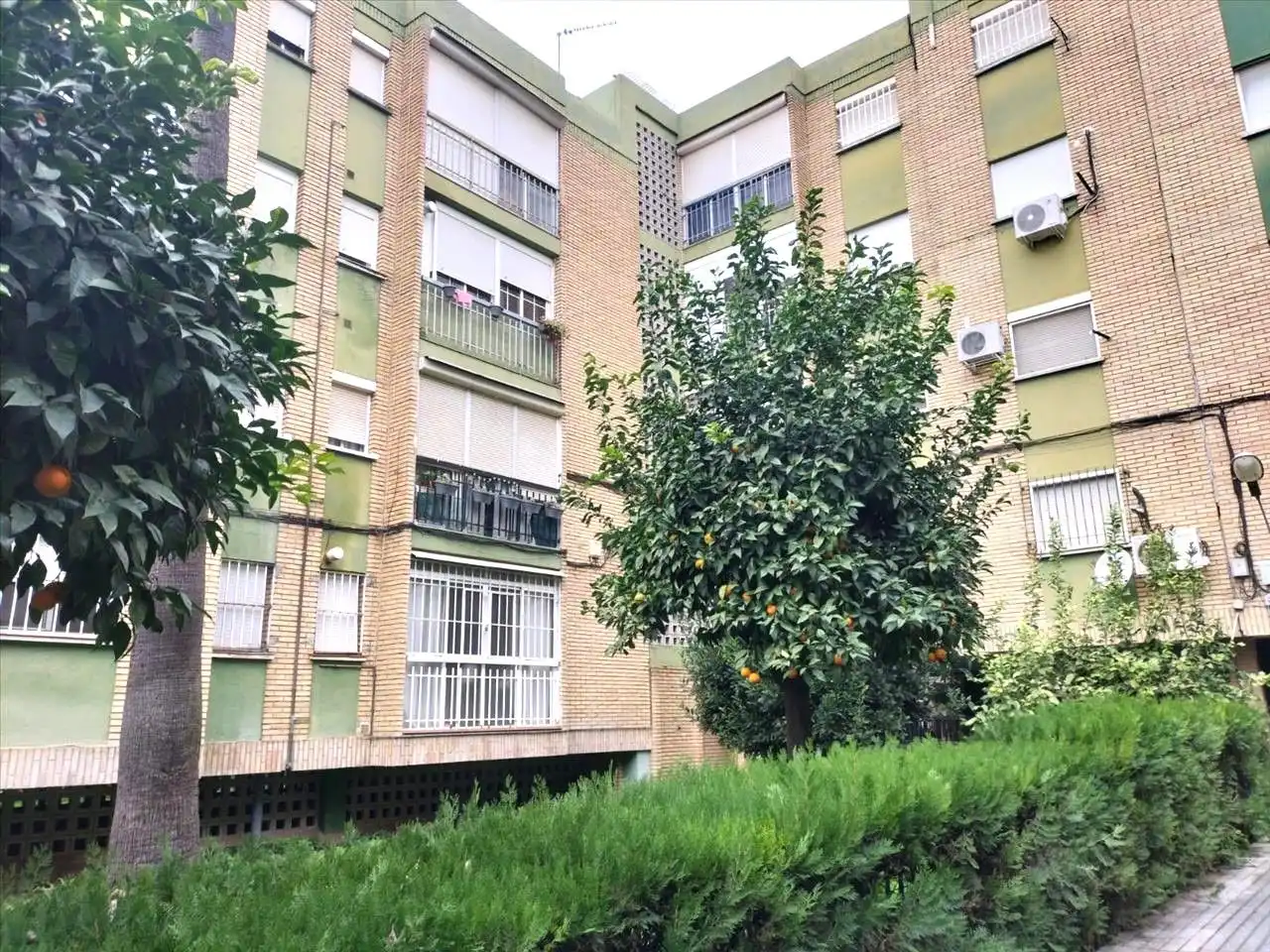 Appartement compact à vendre à Castilleja de la Cuesta, imagen 6