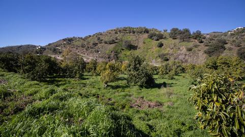 Photo 4 of Country homes for sale in Carretera Carretera Corumbela, Árchez, Málaga