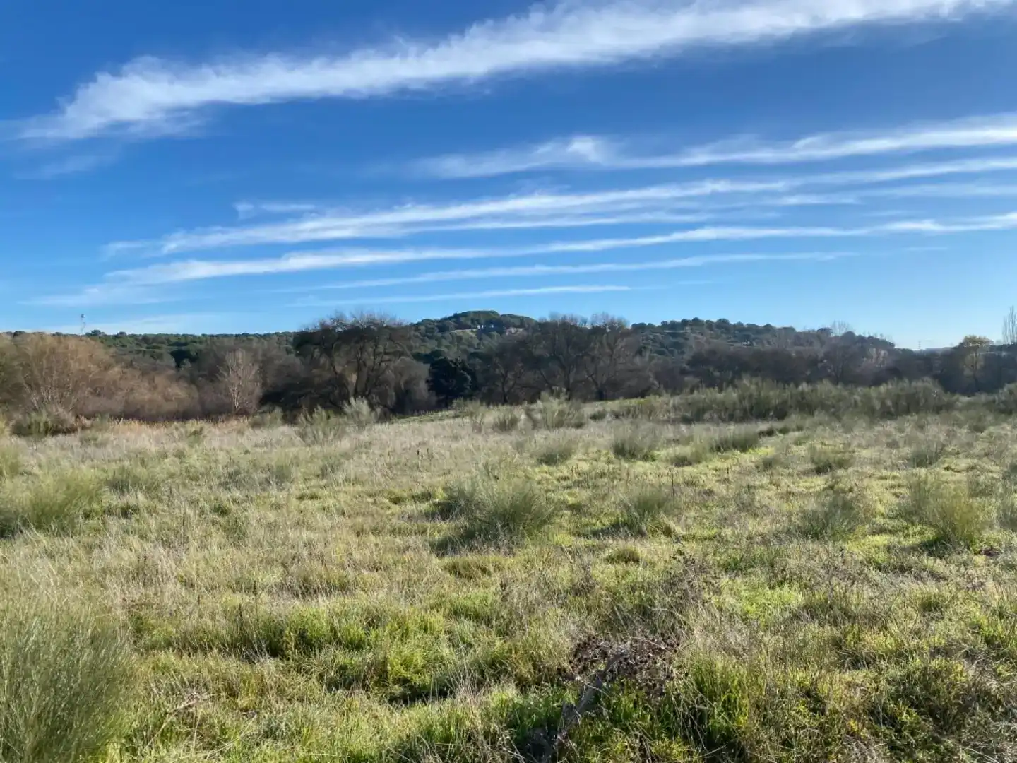 Finca rústica en venta en Villaviciosa de Odón