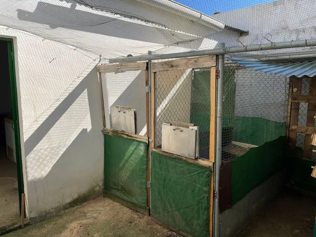 Terrenys i solars en venda a Bollullos Par del Condado, imagen 3