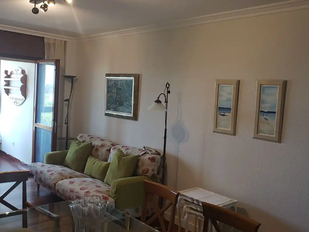 Appartamento con giardino in affitto a Avenida Pontejos 3b,7A, imagen 34