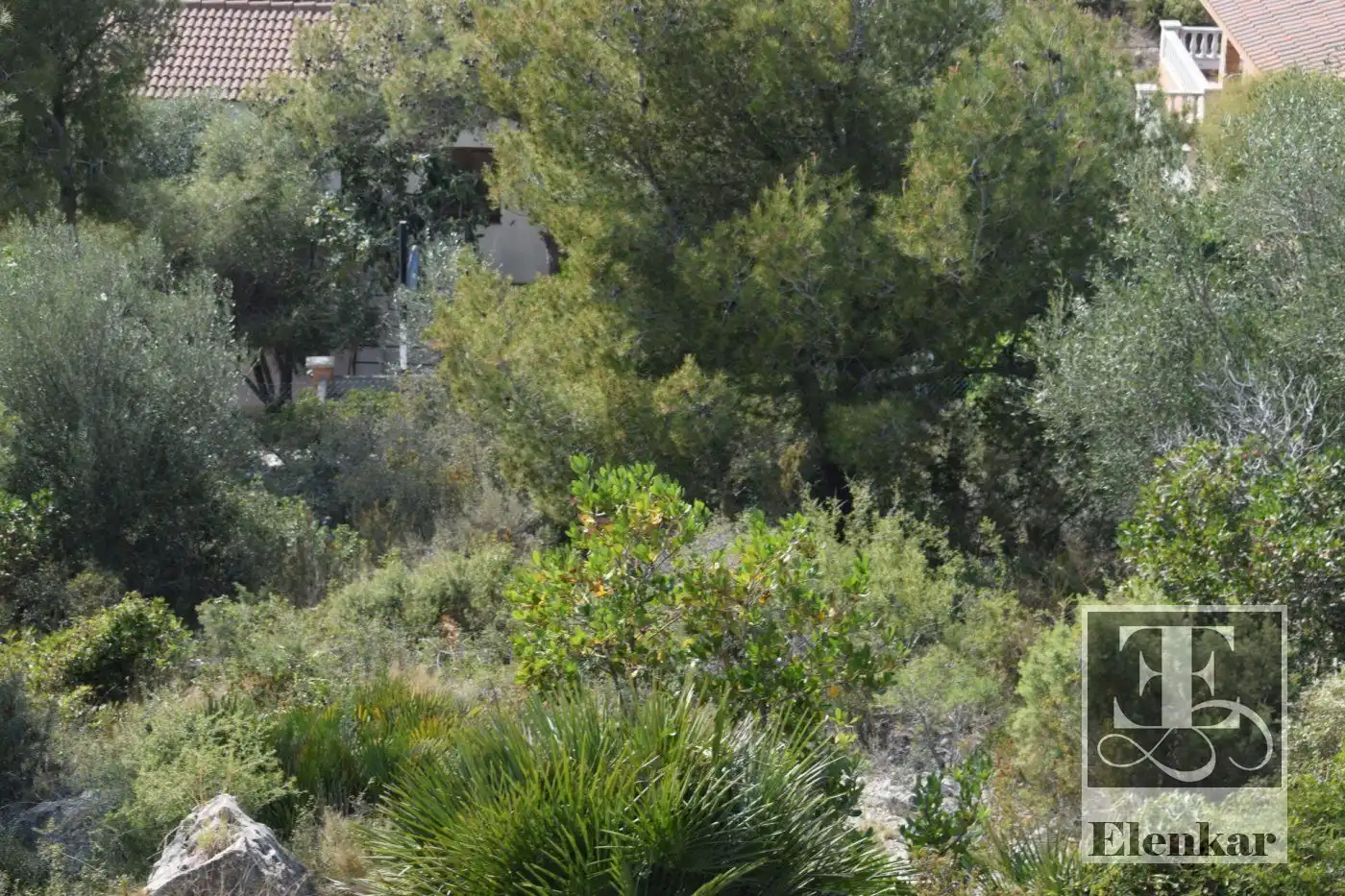 Terreny rústic en venda a SANTA MARIA DE MONTSERRAT, imagen 11