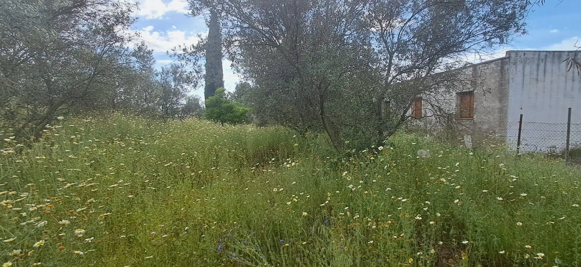 Casa o chalet en venta en Utrera