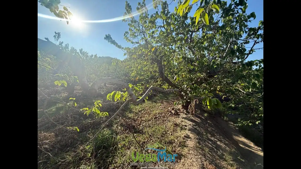Residencial en venta en Almuñécar