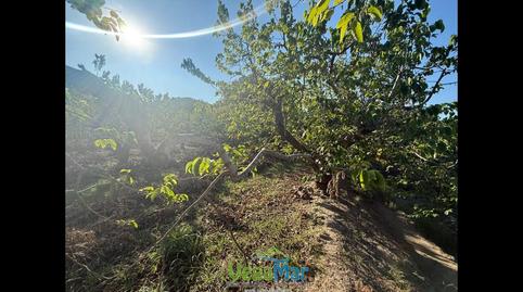 Photo 2 of Residential for sale in Itrabo, Almuñecar Centro, Granada