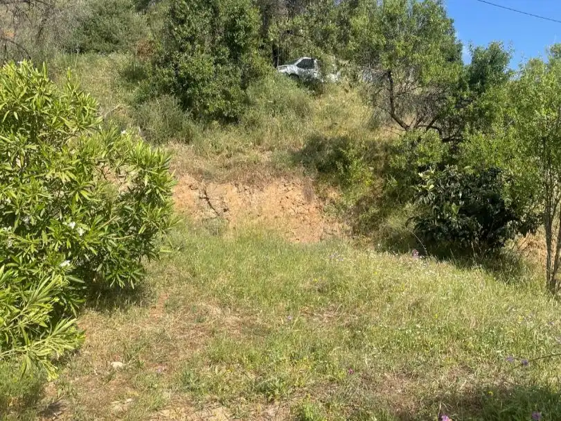 Terreno en venta en Guaro