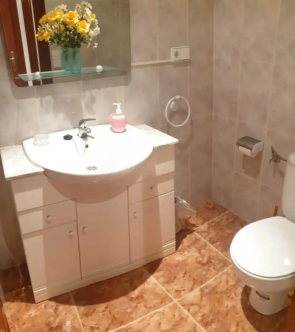 Baño de Finca rústica en venta en Villafeliche