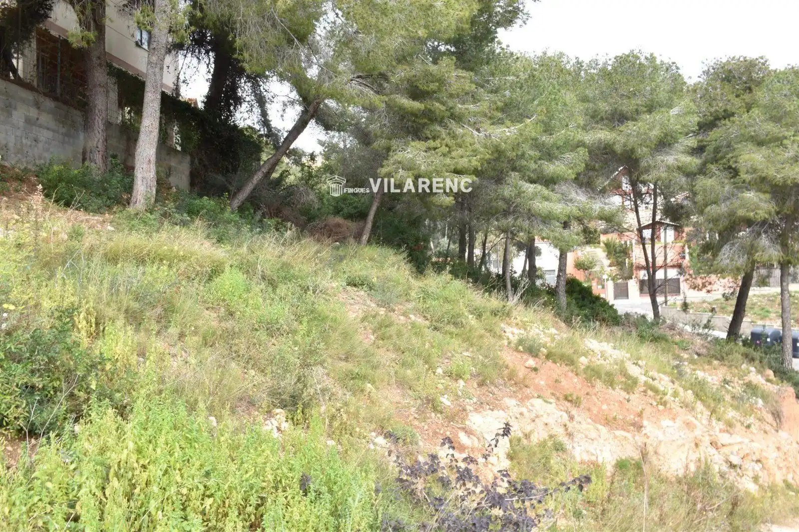 Rural land for sale in GLADIOL, imagen 3