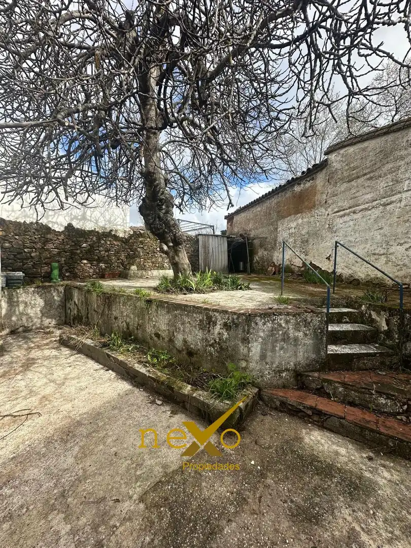 Jardí de Finca rústica en venda en San Nicolás del Puerto amb Jardí privat i Balcó