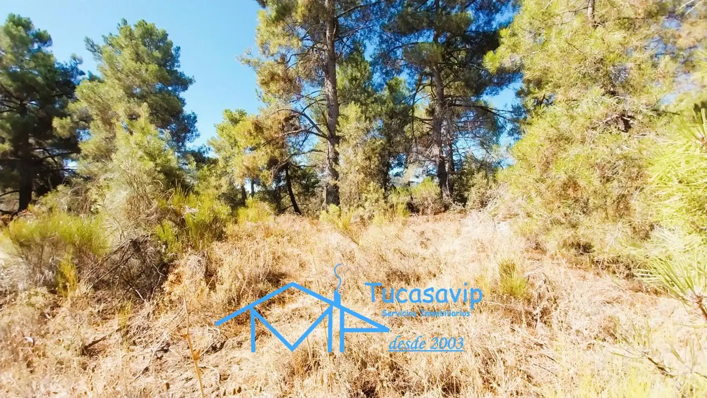Terreno en venta en Cadalso de los Vidrios