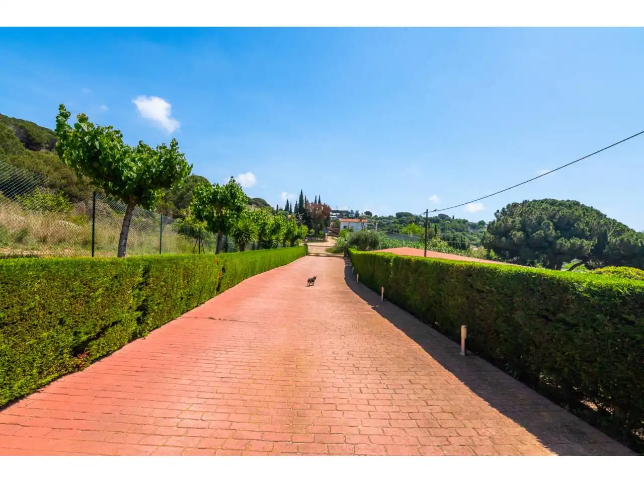 Vista exterior de Finca rústica en venda en Argentona amb Aire condicionat, Calefacció i Jardí privat