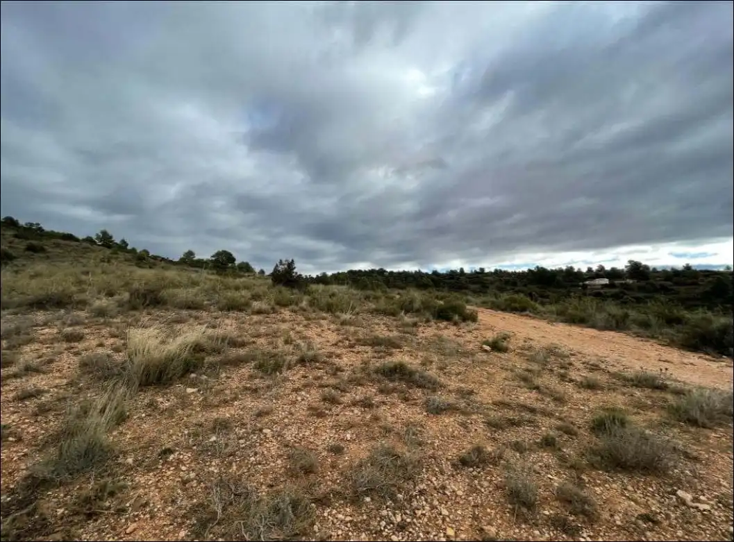 Rustikales Grundstück zum Verkauf in Paraje Casa Nueva o Mirador, imagen 8