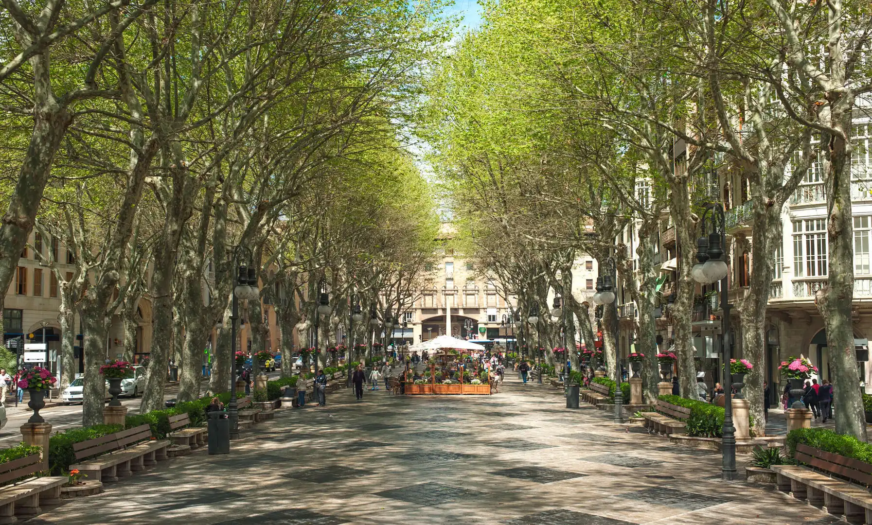 Vista exterior de Pis en venda en  Palma de Mallorca amb Aire condicionat, Calefacció i Terrassa