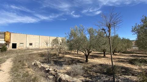 Foto 3 de Residencial en venta en Club de Tenis, Caudete, Albacete