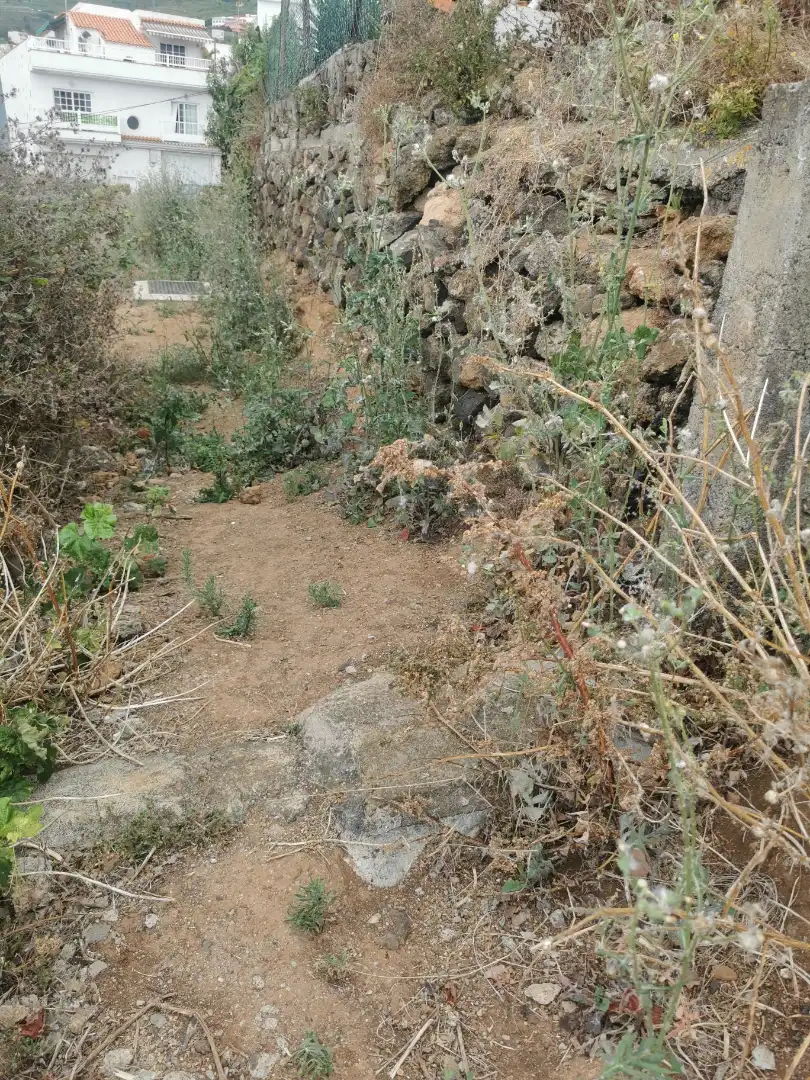 Terreno en venta en Calle la Bastona, Santa Úrsula pueblo