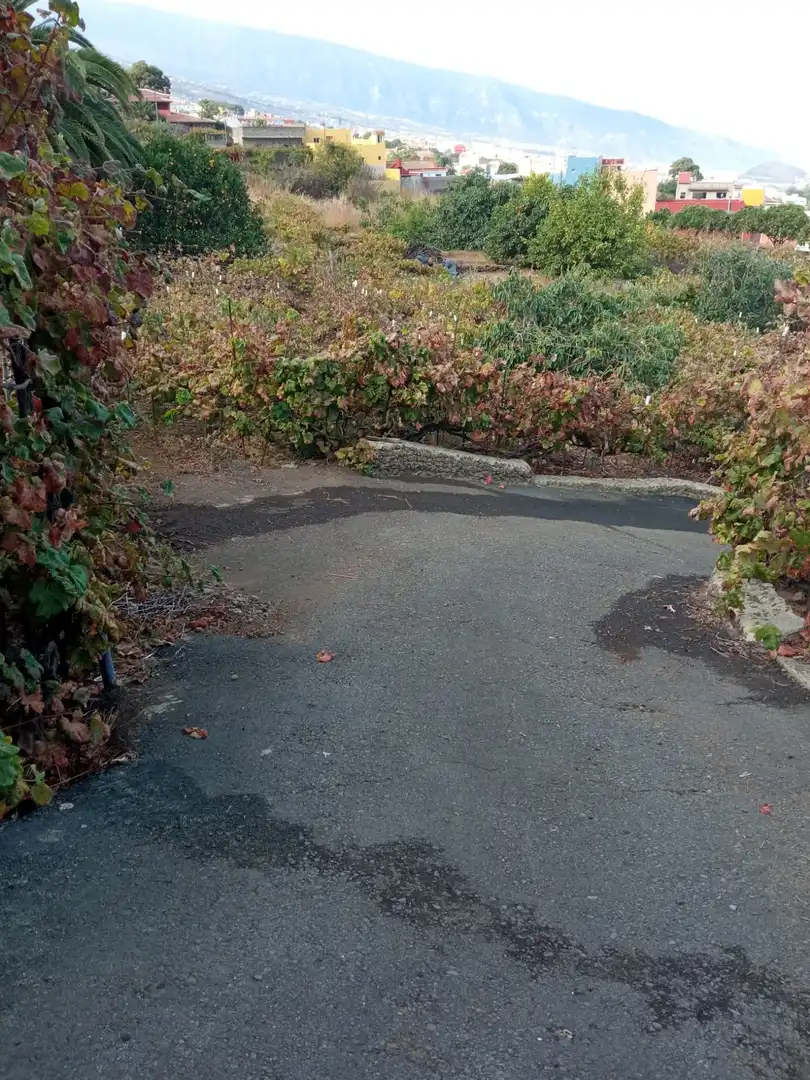 Terreno rustico in vendita a Las Cuevas - Los Gómez, imagen 22
