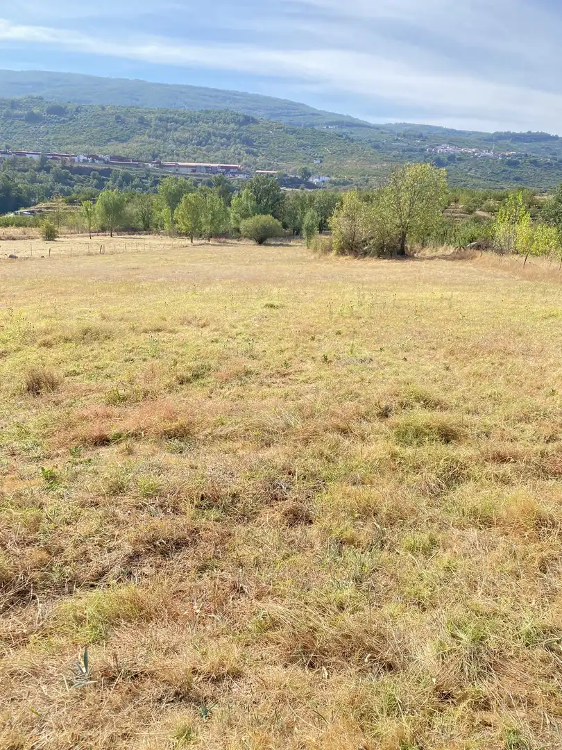 Land for sale in Rebollar (Cáceres)