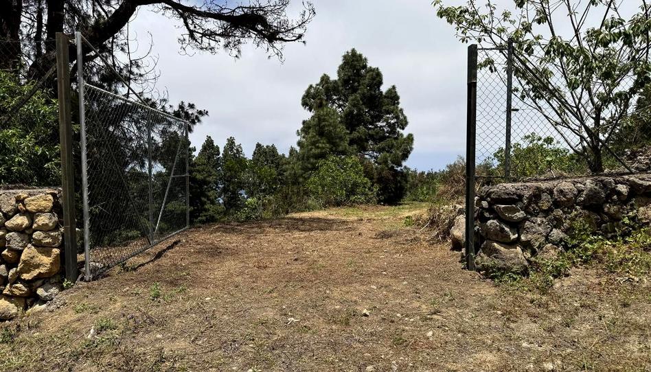 Foto 1 de Residencial en venda a La Peña, 1, La Vega - El Amparo - Cueva del Viento, Santa Cruz de Tenerife