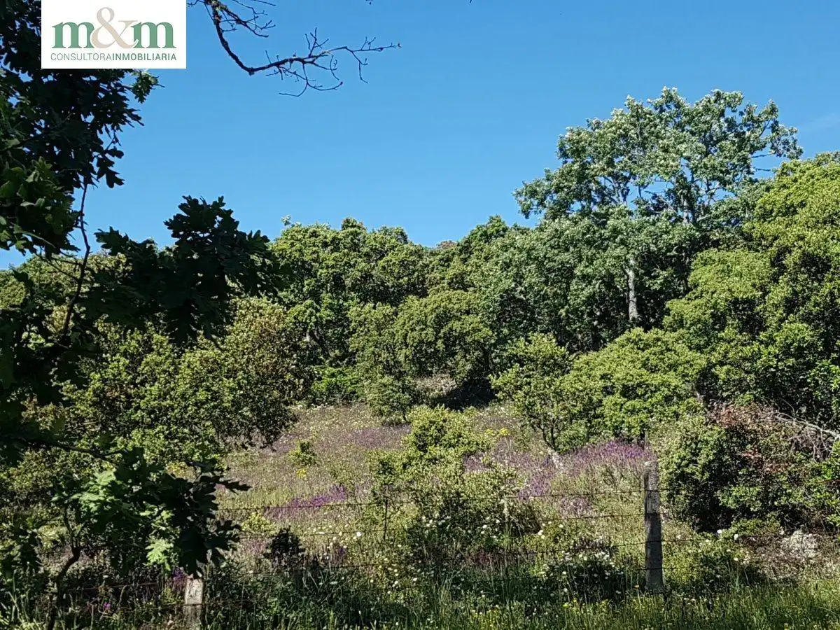 Casa amb jardí en venda a Frades de la Sierra, imagen 53