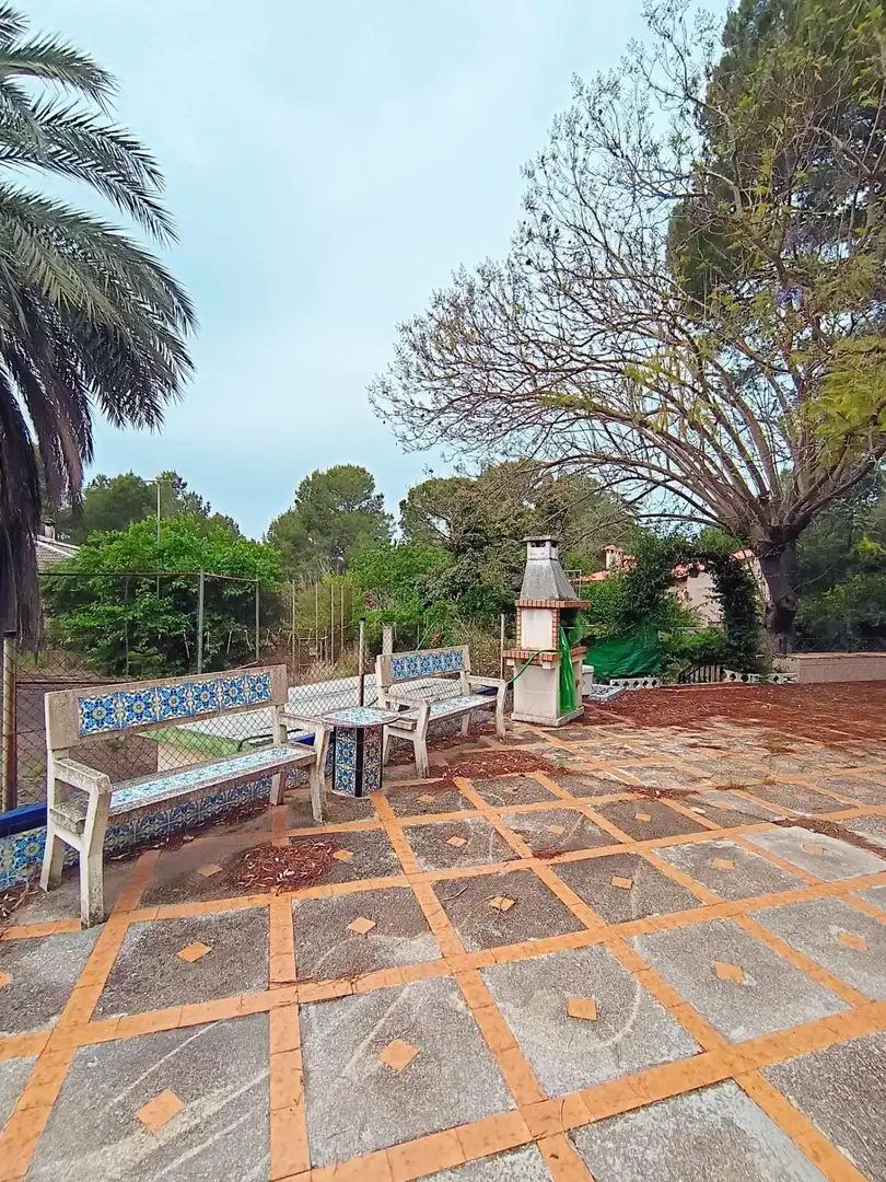 Jardín de Casa o chalet en venta en Alzira con Jardín privado y Terraza