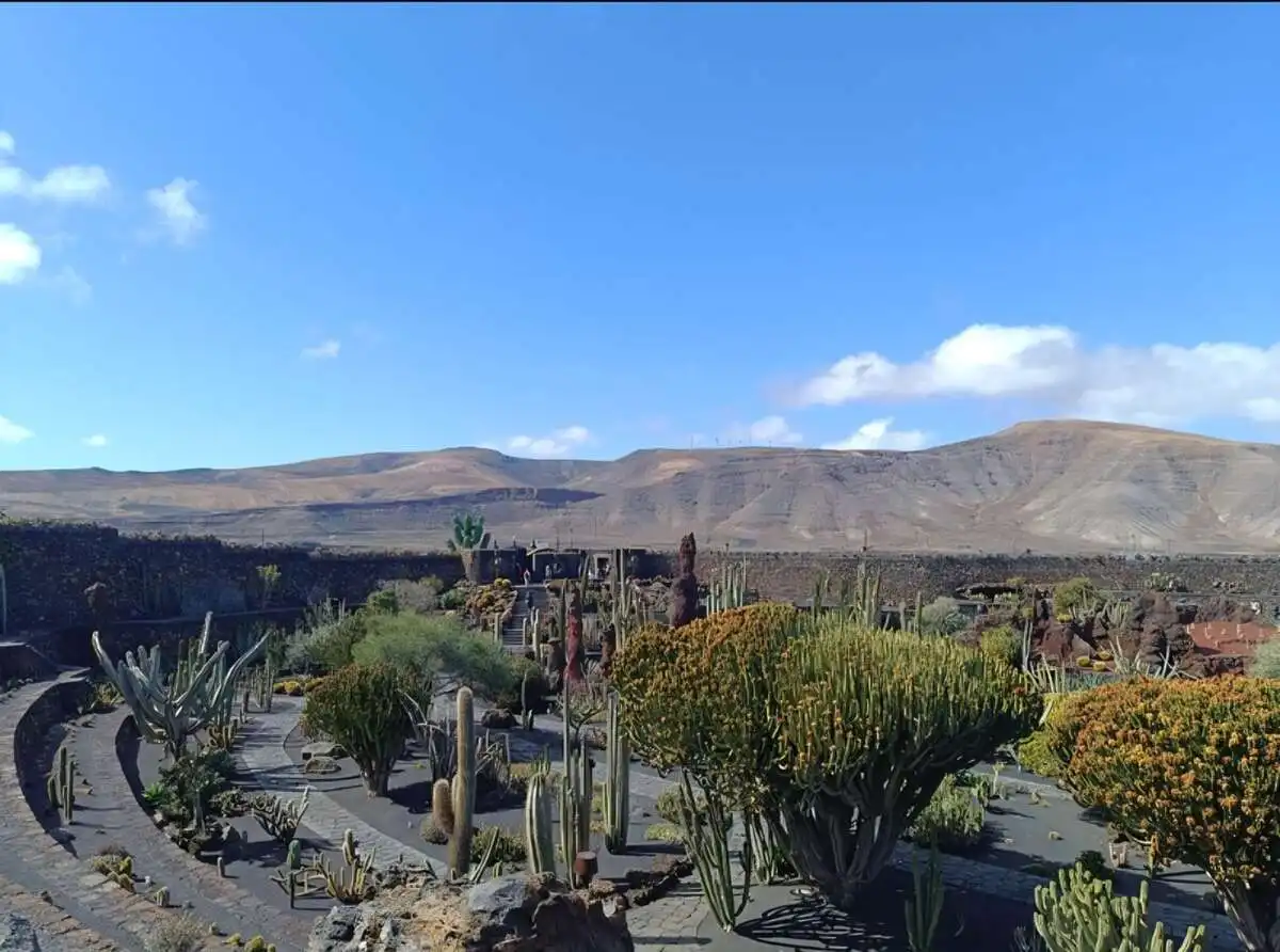 Jardí de Residencial en venda en Teguise