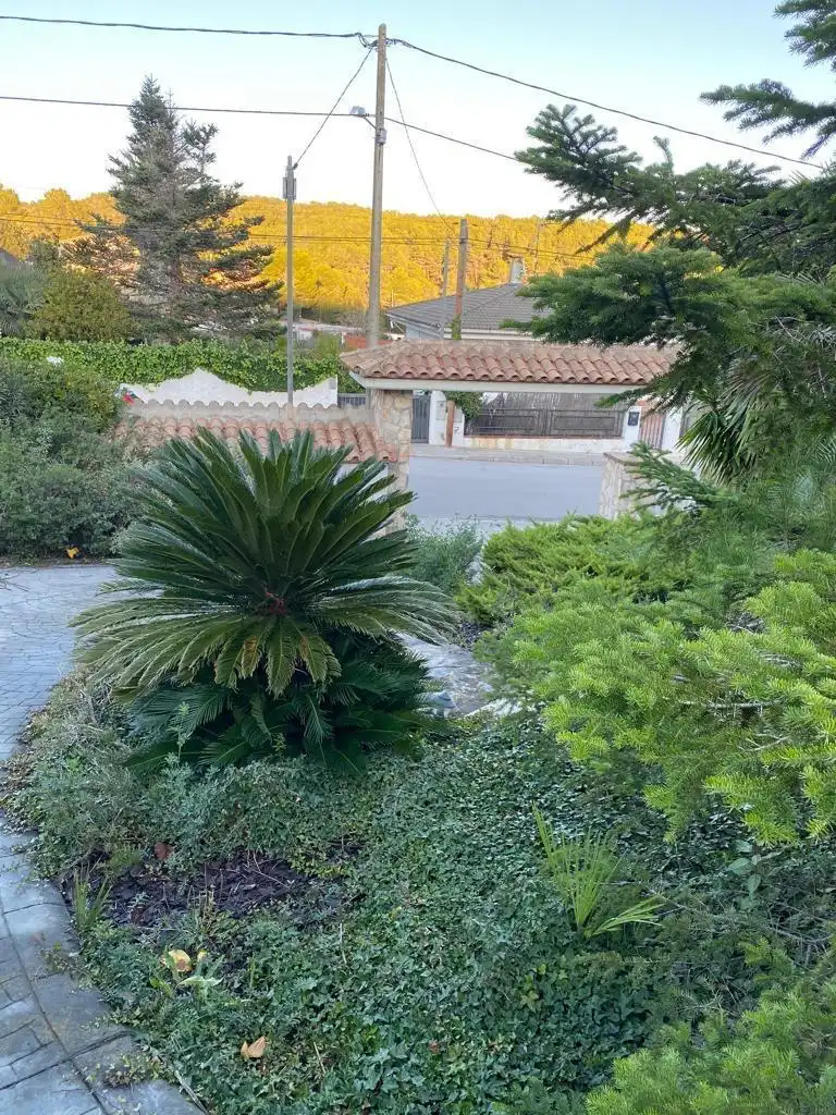 Vista exterior de Casa o xalet en venda en Olèrdola amb Calefacció, Jardí privat i Terrassa