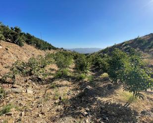 Land for sale in Vélez-Málaga