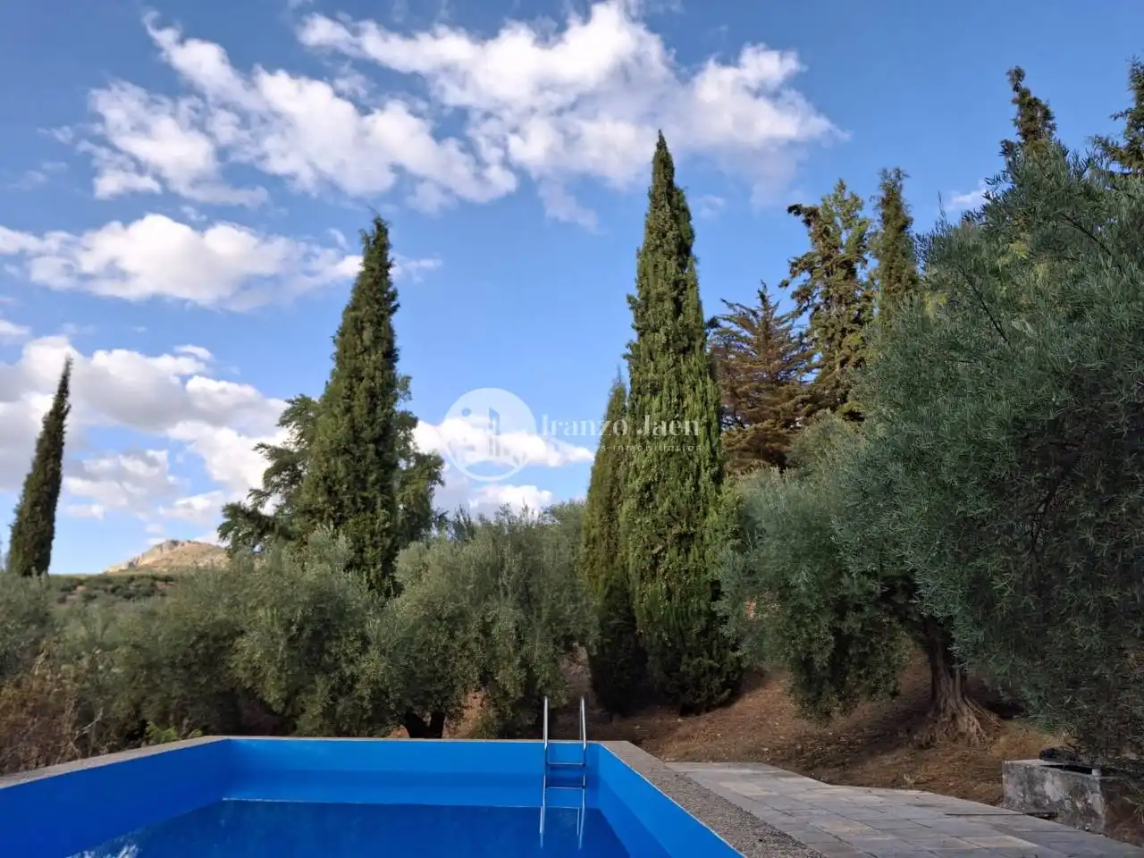 Piscina de Casa o chalet en venta en Los Villares con Jardín privado, Terraza y Piscina