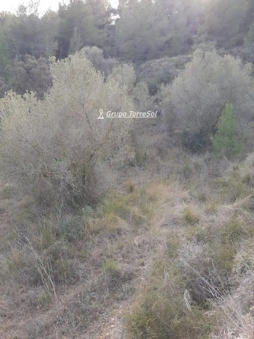 Rustikales Grundstück zum Verkauf in POLIGONO, imagen 6