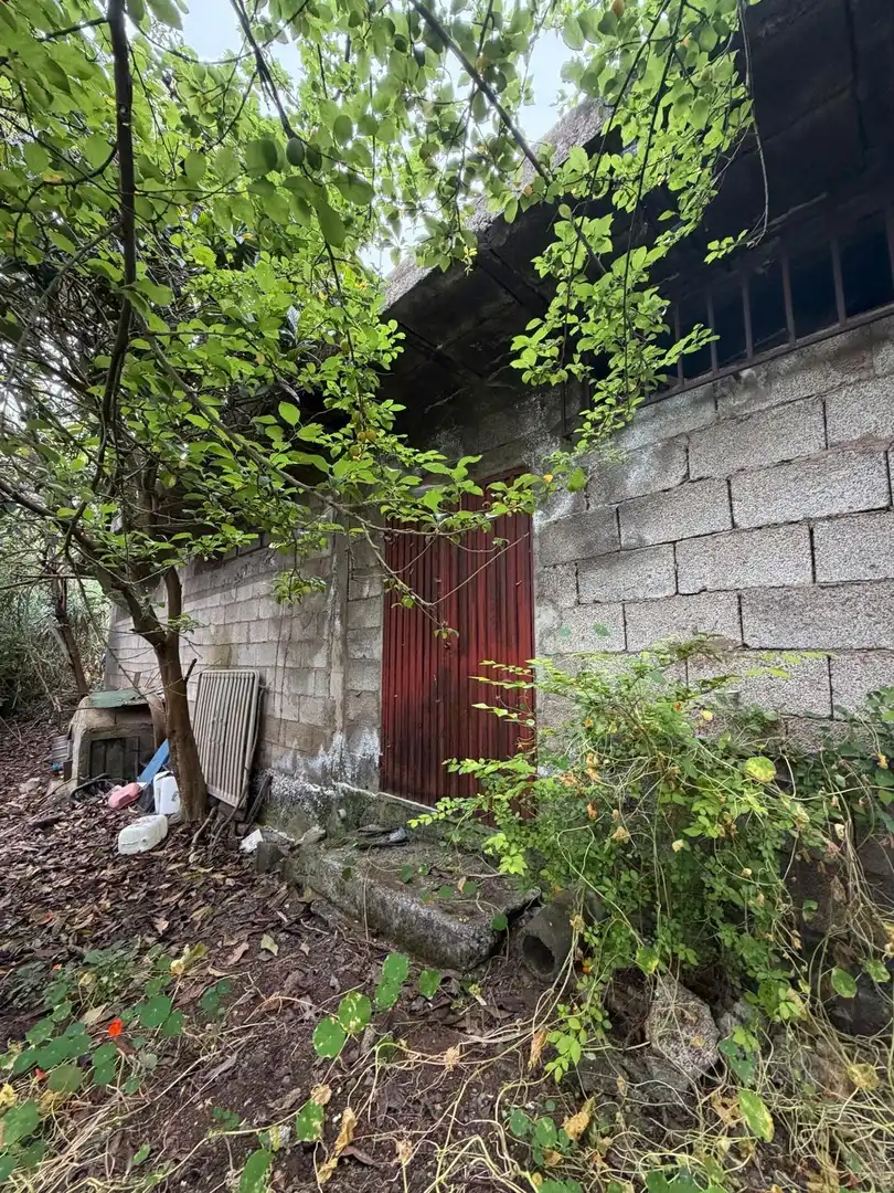 Terreno rustico in vendita a El Bebedero - Pinolere - Aguamansa, imagen 40