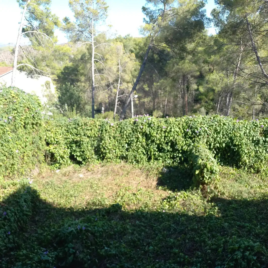 Garden of Houses for sale in Olivella  with Private garden and Terrace