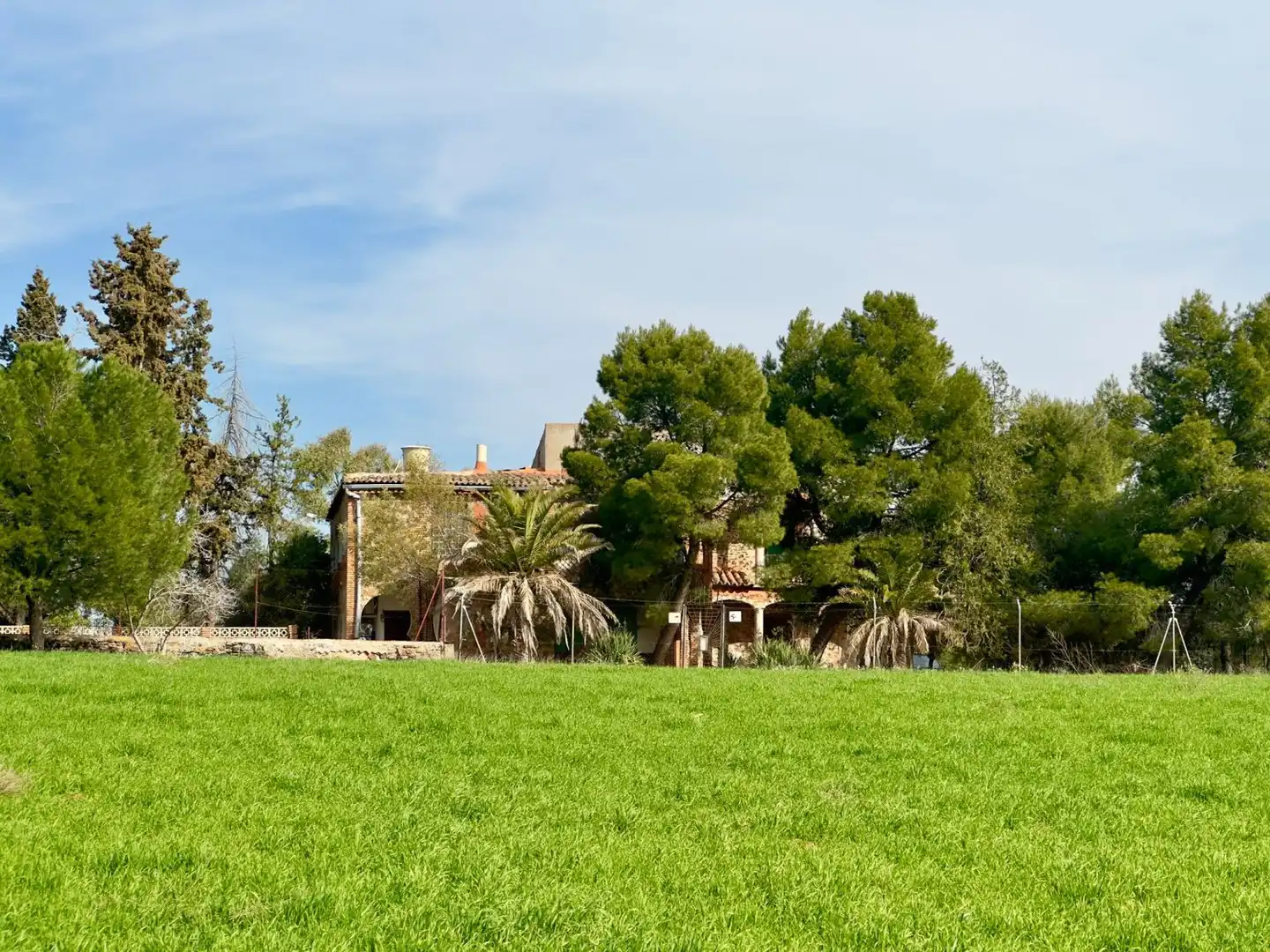 Casa rústica amb terrassa en venda a Torrenueva, imagen 43