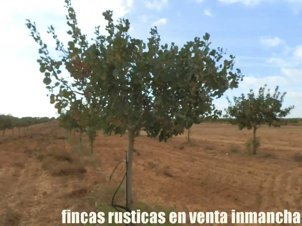 Terreni e lotti in vendita a Las Mesas, imagen 23