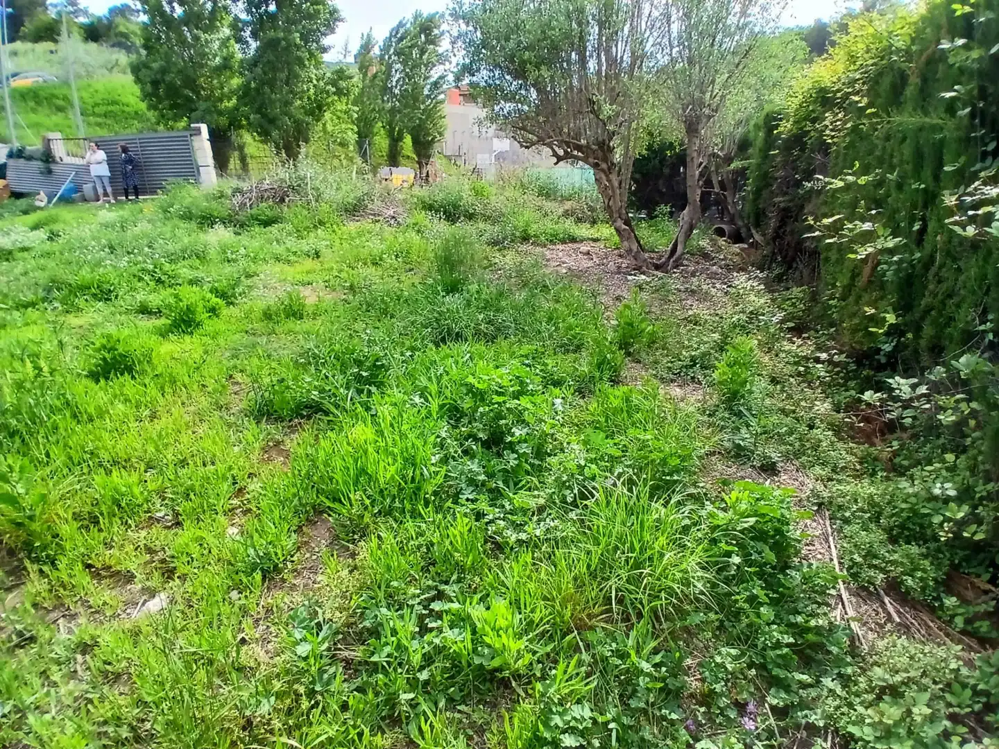 Terrenos y solares en venta en Castellbisbal, imagen 6