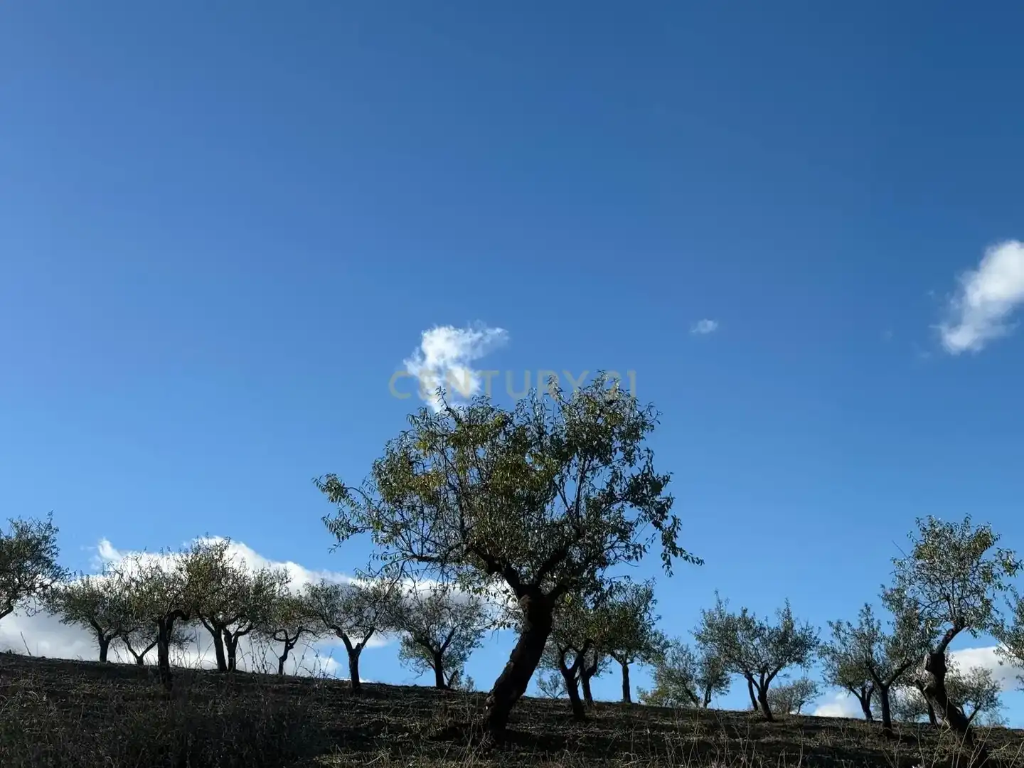 Casa o xalet en venda a BR RAMB-BANCALEJOVELEZ-RUBIO (ALMERÍA), -1, Vélez-Rubio